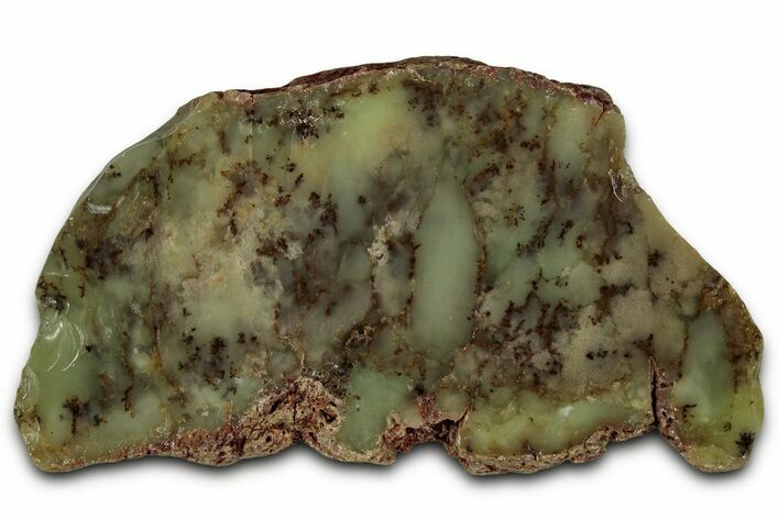 Polished Dendritic Opal Slab - Western Australia #353795